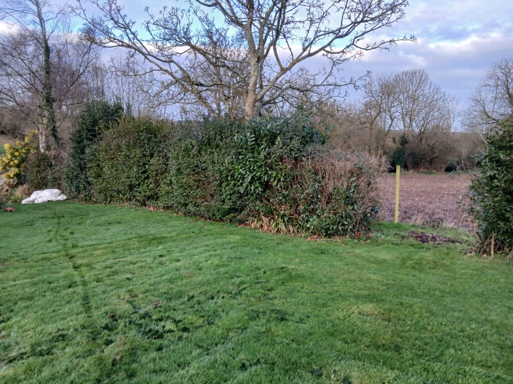 Haie dense taillée avec pelouse verte entretenue par Les Jardins du Val de Vire