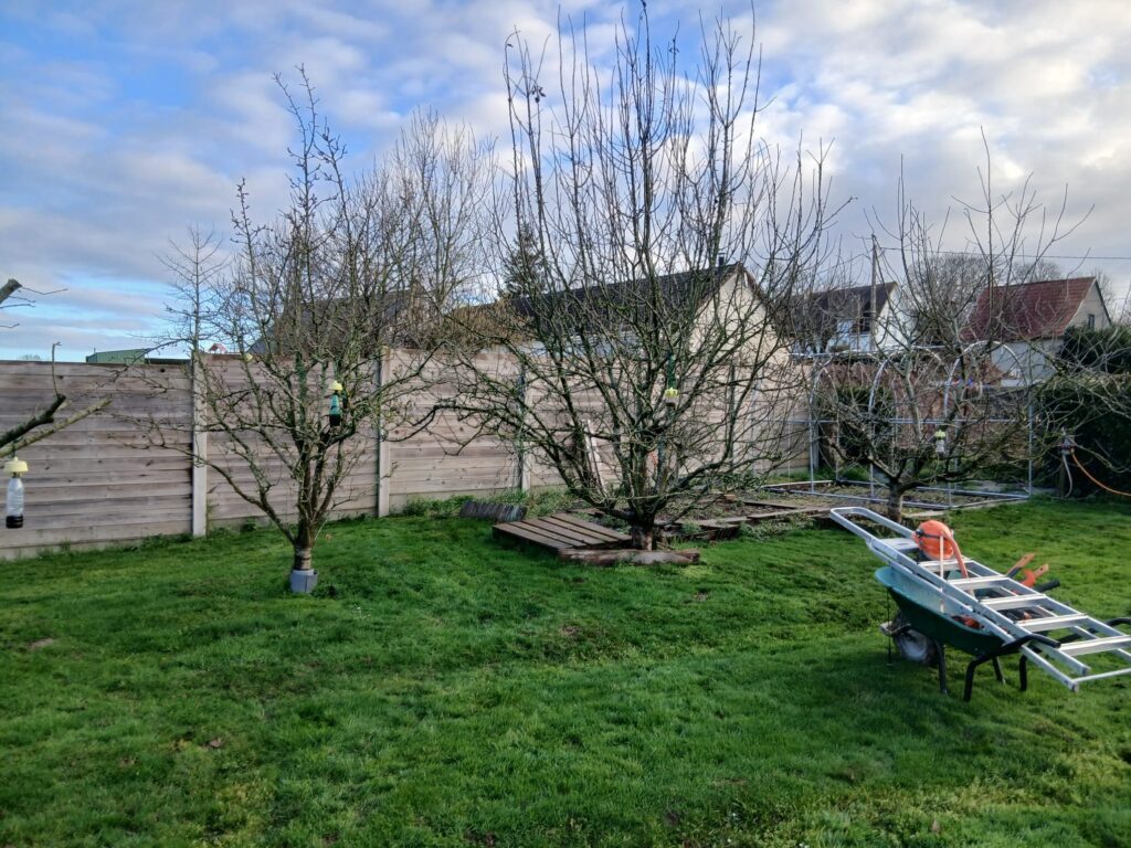 Jardin avec arbres fruitiers taillés et brouette d'outils de taille